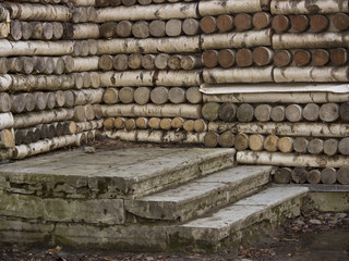stone steps and wooden house