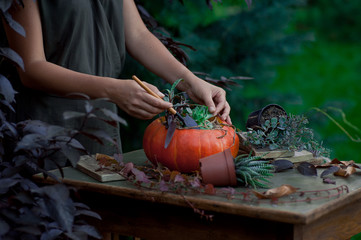 Beautiful fall bouquet in a vase from pumpkin. Preparation for Halloween in the garden. Selective...