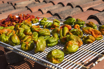 Sweet green and red bell peppers drying on the roof