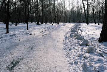 Road in a Snow-Covered Winter Park in February
