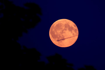 Fototapeta na wymiar Airplane Transits Moon