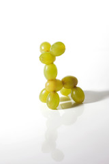 Food art creative concepts. Animals made of many fruits over white background