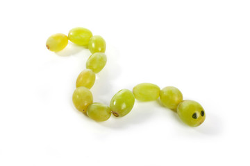 Food art creative concepts. Animals made of many fruits over white background