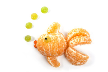 Food art creative concepts. Animals made of many fruits over white background