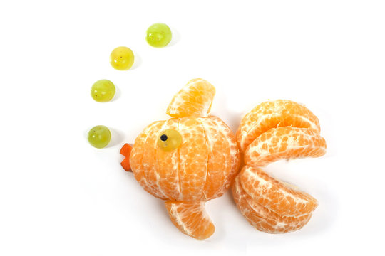 Naklejki Food art creative concepts. Animals made of many fruits over white background