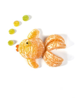 Food art creative concepts. Animals made of many fruits over white background