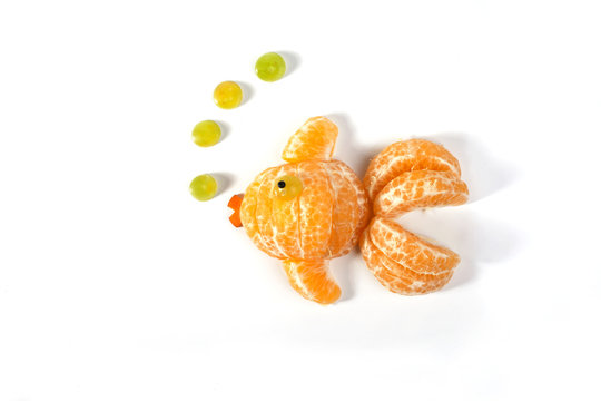 Food art creative concepts. Animals made of many fruits over white background