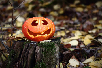 k&uuml;rbis halloween im wald 3