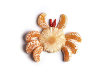 Food art creative concepts. Animals made of many fruits over white background