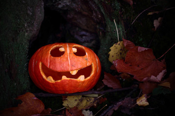 kürbis halloween im dunkeln
