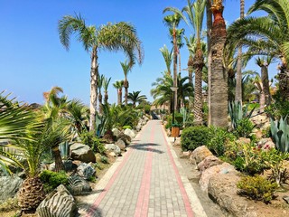 tropical paradise