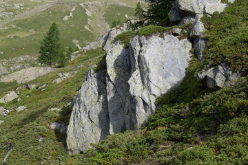 Switzerland, Valais, Lötschental,