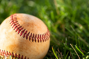 Baseball close up on grass