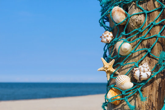 Different sea shells in a fishing net on the background of summer beach and the sea