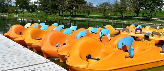 Paddle boats docked in a pond
