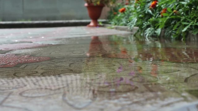 rain dripping on the pavement
