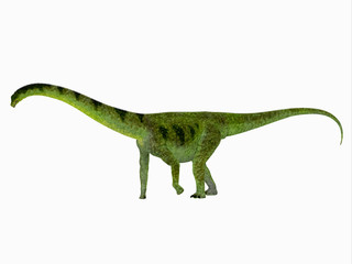Puertasaurus Dinosaur Side View - Puertasaurus was a herbivorous sauropod dinosaur that lived in Patagonia in the Cretaceous Period.