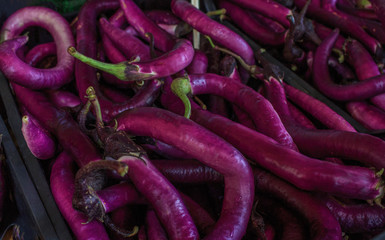 Long purple brinjal or eggplant selling at market. Venice, Italy - september 2016: Rialto fish markets. Close Up, Shallow DOF