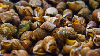 Heap of cooked sea snails on sale at public market