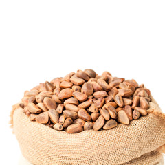 Pine  nuts in a sackcloth bag isolated