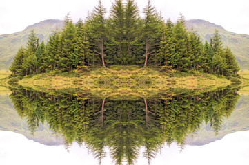 Kaleidoscopic pattern of fur trees in Alps