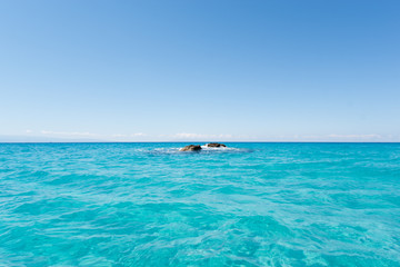 Groticelle beach near Tropea city, Calabria, Italy.
