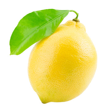 lemon isolated on the white background