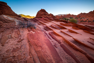 Coyote Buttes in the Vermilion Cliffs Arizona