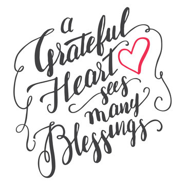 A grateful heart sees many blessings. Gratitude brush calligraphy quote for greeting cards and posters. Handwritten thankfulness isolated on white background
