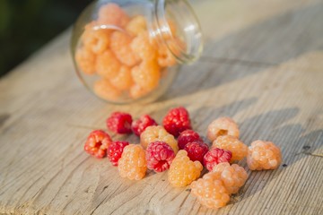 Multicolored raspberries in a glass jar on  old wooden background