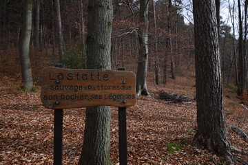 Herbstwanderung. In belgischer Moor- und Berglandschaft.