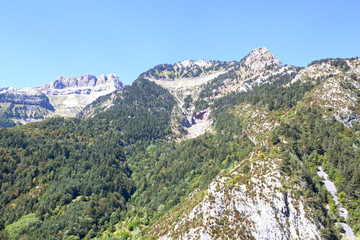 Pine trees in a mountain range in Pyrenees, Spain