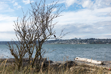 View of City of White Rock, Canada from Across the Border at Semiahmoo Spit Beach in Blaine, Washington