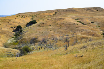 Fototapeta premium Little Bighorn Battlefield National Monument