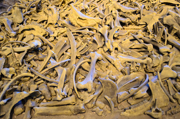 Agate Fossil Beds National Monument