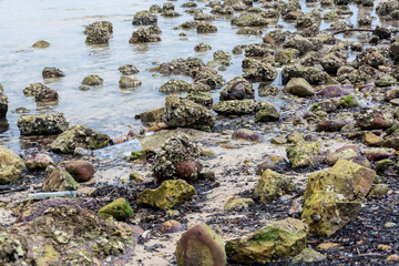 Polluted seashore with a lot of garbage on the seashore