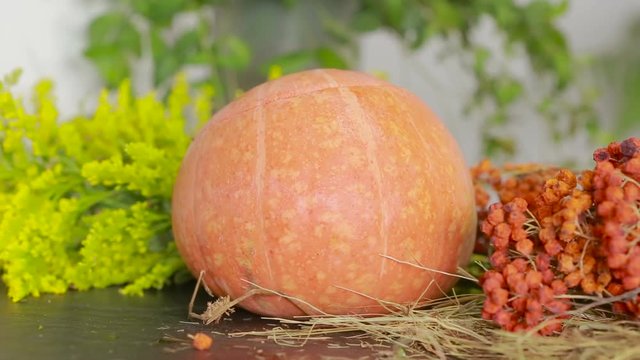 composition of pumpkins and autumn flowers and berries. Thanksgiving and helluin
