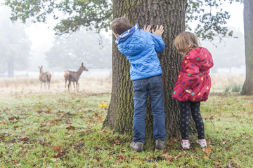 Children in Richmond park, London