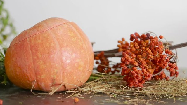 composition of pumpkins and autumn flowers and berries. Thanksgiving and helluin