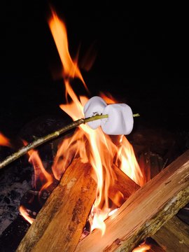 Roasting marshmallows on a camp fire