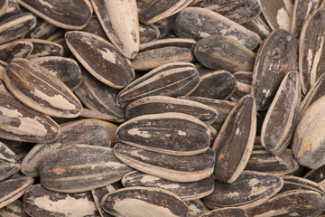 Sunflower Seeds