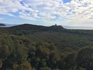 Obraz premium Parco dell'Uccellina in Toscana