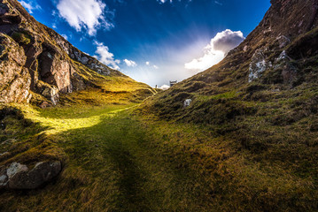 Obraz premium Sunbeams