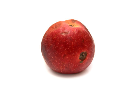 Red rotten apple isolated the natural texture.