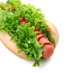 Tasty Hot Dog, isolated on white