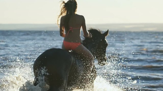 A sexy young beautiful sexy blonde woman in bikini in the sea riding a brown horse. Enjoying the views. Having rest. Feeling harmony inside. View from the back. Trotting