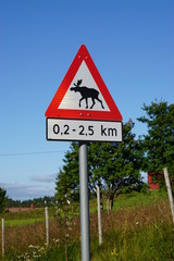 Moose crossing road sign in Norway