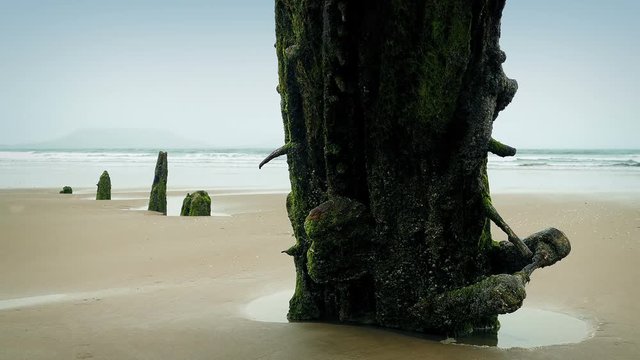 Weathered Shipwreck On Beach