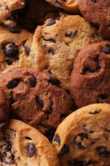 Fresh oat biscuits with chocolate, closeup