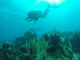 mergulhador em san andrés
